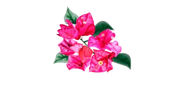 Bougainvillea